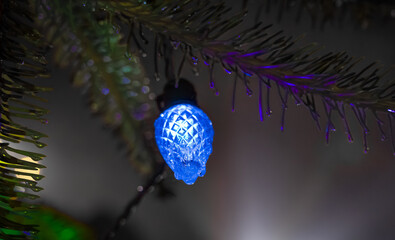 C-9 Light Bulb Outdoor Christmas Decoration