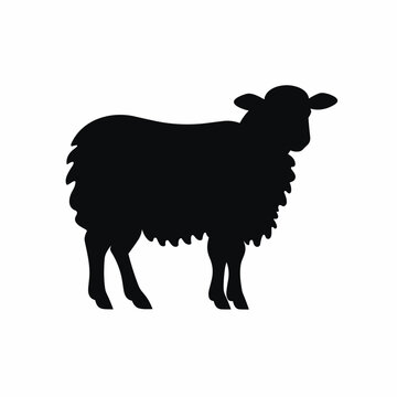 Sheep black icon on white background. Sheep silhouette