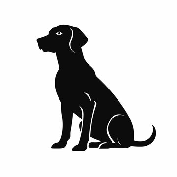 Labrador retriever black icon on white background. Labrador silhouette