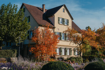 House with nice garden in fall. Flowers in the City Park of Bietigheim-Bissingen, Baden-Wuerttemberg, Germany, Europe. Autumn Park and house, nobody, bush and grenery