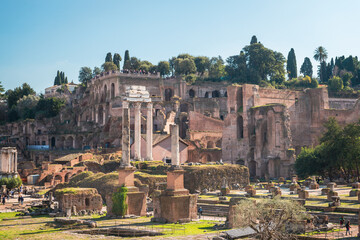 Fototapeta na wymiar Rome's Cityscape with a Stunning View of the Forum Romanum and Colosseum