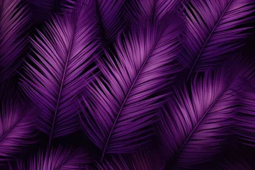 Foto op Canvas  a close up of a purple wallpaper with a pattern of palm leaves on the left side of the image and a black background on the right side of the image. © Shanti