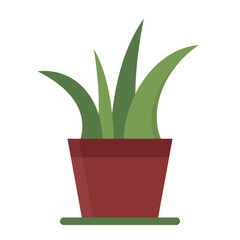 an icon package of potted plants