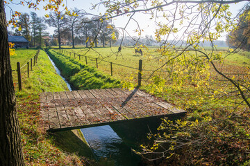 small footbridge over a ditch