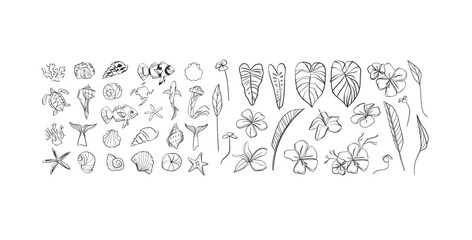 Hand drawn vector abstract simple minimalistic line art graphic drawing tropical palm leaves,flowers and fishes collection set isolated.Summer plant design concept.Tropical summer nature logo set.