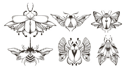 Mystical celestial beetle or bug outline clipart bundle, magic black and white insects silhouettes in vector, unreal hand drawn entomological isolated elements set