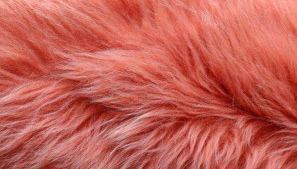 Fototapeta premium Light red fur texture top view