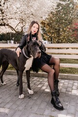 A woman walks with her Great Dane in an urban setting, enjoying the outdoors and the company of her dog.