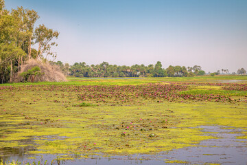 Gulawat Lotus Valley is located in Hatod tehsil in Indore city of Madhya Pradesh state of India.