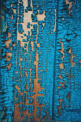 Selective focus old blue cracked paint. The texture of the old door with cracks. Dried in the sun and cracked color on the wall of country house. Peeling coating. Cracked paint on a wooden surface.