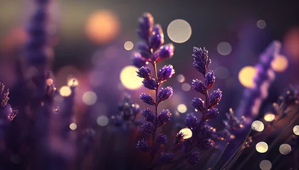 Photo sur Plexiglas Photographie macro lavender flowers in full bloom