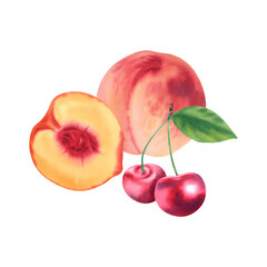 Peach fruit and cherry. Watercolor illustration on a white background. Juicy fruits. Harvesting. Healthy eating. Logo, sticker printing, icon.