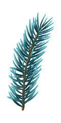 Naklejka premium Blue Christmas Fir Branch