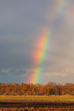 Beauty rainbow in storm cloud above autumn field Czech landscape. Weather, nature background