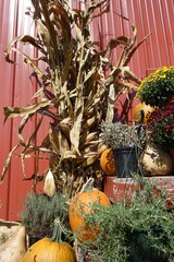 Autumn farm display in rural Maryland