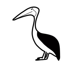 pelican europe animal Hand drawn organic line doodle