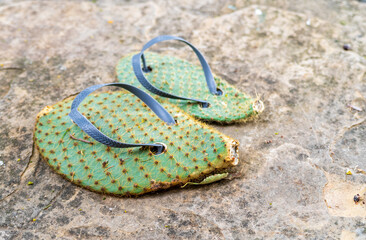 prickly flipflops