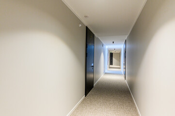 Fototapeta premium interior apartment public place, house entrance. doors, walls, staircase corridors