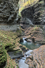 moss covered rocks and waterfall stream at watkins glen state park in the finger lakes region of new york state (nature, travel, hiking, walking, trail) gorge with curved rock, colorful autumn foliage