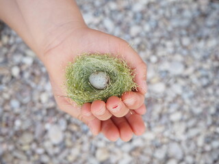 manos de niña cuidando un huevo pequeño, respetar la naturaleza 