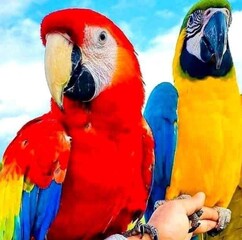 Never give up and don't want to go to 