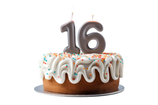 Birthday Celebration Cake with Number 16 Topper