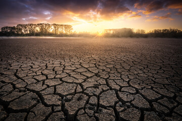 Dry cracked earth in Salburua park, Vitoria-Gasteiz (Spain) - 681642009