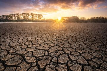 Dry cracked earth in Salburua park, Vitoria-Gasteiz (Spain) - 681642013