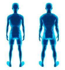 Holographic illustration: slim young man vs. robust physique post-nutrition and sports. Transparent background, PNG., back view.