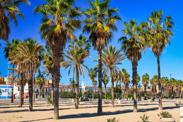 Fototapeta na wymiar Beautiful promenade at the Playa de las Arenas beach of Valencia, Spain
