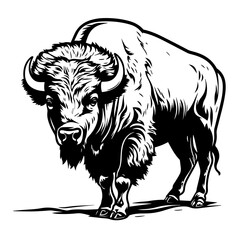 Bison Buffalo Charging