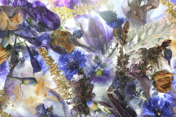 Blue frozen flowers in the ice with bubbles. Abstract organic art. Autumn background.