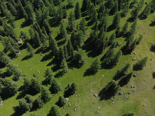 Aerial view of green mountain landscape and alpine meadows