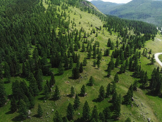 Aerial view of a green mountain landscape sprawling beautiful coniferous forest.