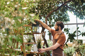 Naklejka na ściany i meble handsome bearded gardener in linen apron holding vintage lamp near rack with plants in greenhouse