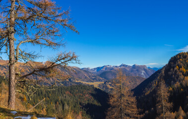 Beautiful late autumn landscape in the Alps. Mountains with some snow and yellow larches. Breathtaking panorama. Sella di Razzo, Carnic Alps, Italy