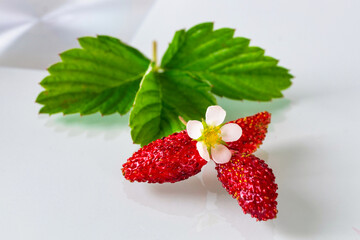 Wild strawberries with leaves isolated on a white background