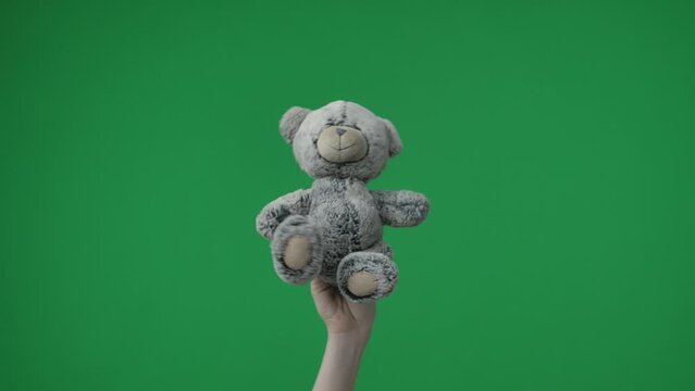 In the shot, a close up on a green background. A woman hand that holds a little teddy bear. He is sitting on her hand pointed at the camera. The bear feels nice, a child toy