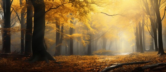 Autumn forest nature landscape with yellow leaves and trees. AI generated image