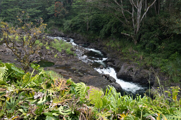 Wailuku River, Wailuku River State Park Hawaii
