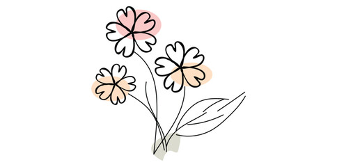 flowers isolated on white