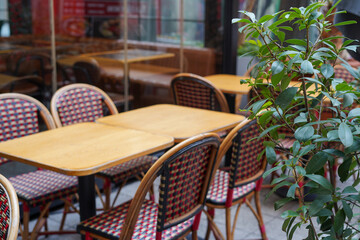 Fototapeta na wymiar Outdoor empty restaurant terrace with wooden tables, chairs and green plant