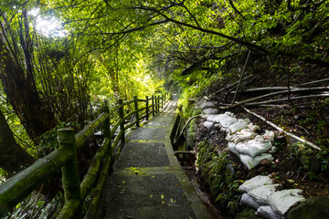 Sights and Nature around Yangmingshan National Park in Taipei, Republic of China in Taiwan