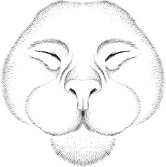 Cat vector art illustration T-shirt apparel tattoo design or outwear.  Cute print style kitten background. This hand drawing would be nice to make on the black fabric or canvas.