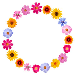 Fototapeta na wymiar Summer composition. Wreath of bright colorful summer flowers isolated on transparent background, round frame. Plant design for round drink coaster, table mat, dining mat, cup mat, greeting card.
