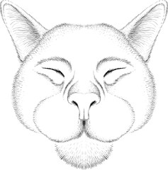 Cat vector art illustration T-shirt apparel tattoo design or outwear.  Cute print style kitten background. This hand drawing would be nice to make on the black fabric or canvas.