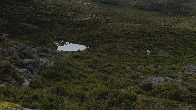 Mountain Valley Panorama. A scenic view of a paramo in Costa Rica nestled in the midst of mountains.
