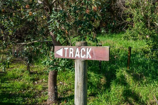 A track sign leading to pathway through woodland area