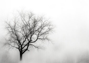 Fototapeta na wymiar A minimalist black and white image of a tree silhouette against a foggy background, shot from a
