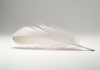 A minimalist composition featuring a single white feather delicately resting on a white background.